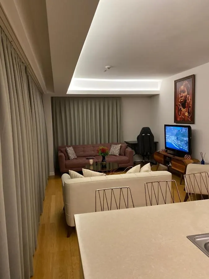 Ultra Lux Daire Apartment Istanbul Turkey